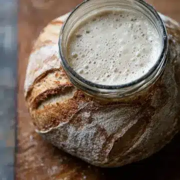 Beginner Sourdough Starter Recipe