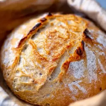 Dutch Oven No Knead Bread