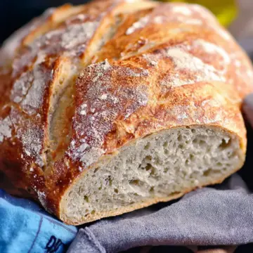 Dutch Oven No Knead Crusty Bread
