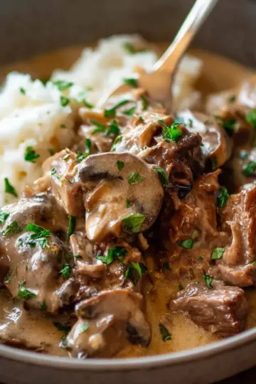 Slow Cooker Beef Stroganoff Stew